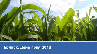 Брянск. День поля 2018