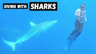 Swimming with SHARKS in HAWAII (No Cage) - Was it worth It?