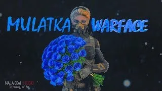 WARFACE STREAM БРАВО И АЛЬФА