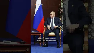 Путин и Эрдоган встретятся в Сочи