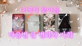 [타로] 나에게 찾아올 다음 큰 변화 & 잡게 될 기회✨🐣🐥✨