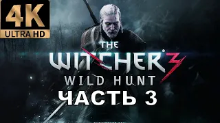 The Witcher 3 wild hunt прохождение без комментариев часть 3