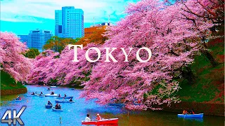 Tokyo 4K - 1st Largest City in The World - 4K Cinematic Relaxation Film with Soothing Music