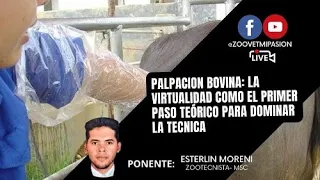 Palpación Bovina: La virtualidad como primer paso teorico para dominar la tecnica