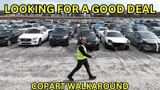 WALKING AROUND COPART IN SEARCH OF A GOOD DEAL