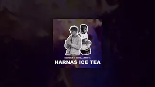 Gawryle ft. Dawid, Artysta - Harnaś Ice Tea