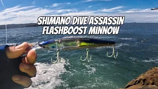 Choppy Waters, Lethal Lure: Shimano's Dive Assassin