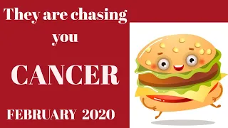 Cancer monthly love reading ✨ THEY ARE CHASING YOU ✨ FEBRUARY 2020