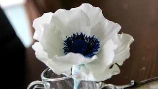 How To Make A Fondant Gumpaste Sugar Anemone Flower #sugaranemone #sugaranemonetutorial