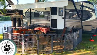 HOW TO SAFELY CONTAIN MULTIPLE DOGS WHILE RV CAMPING | Exercise Pens