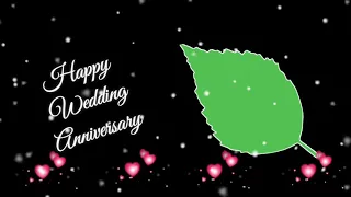 #greenscreen /wedding anniversary back ground video /free download