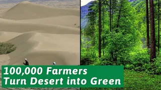 It shocked the world! China 100,000 Farmers Turned Deserts Into Green Forests