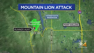 Man Who Killed Mountain Lion After Being Attacked To Share Story