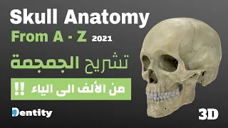 Skull Anatomy  [ From A-Z ]