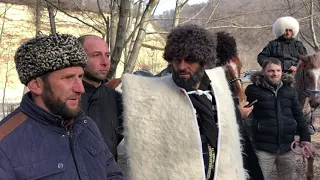 Около 50 всадники из Чечни посетили могилу матери Кунта-Хаджи Кишиева - Хеди.