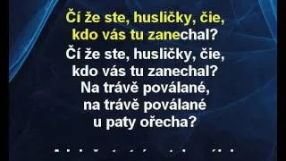 Jiří Zonyga - Husličky (karaoke z www.karaoke-zabava.cz)