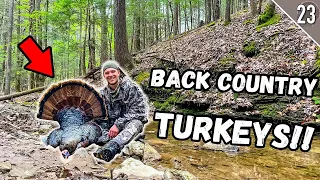 Turkey Hunting in the BACK COUNTRY!!! (Alabama Public Land Gobbler)