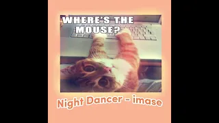 night dancer - imase (sped up + 1 hour loop)