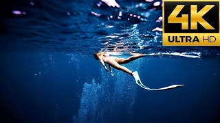 Ocean Aquarium Underwater Instrumental Piano Music SleepAid #4kultrahd #4k #60fps #4kfishtank #ocean