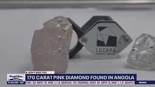 170 carat pink diamond found in Angola, Africa | FOX 13 Seattle