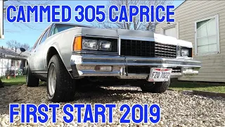 1978 Caprice, first startup 2019