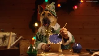 Santa's Elves - Dogs and Cats with Human Hands Making Toys - Freshpet