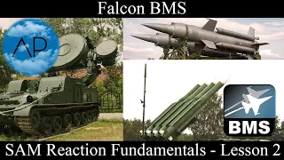 Falcon BMS - SAM Reaction Fundamentals SA-4, SA-6, SA-11 - Lesson 2