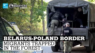 Belarus-Poland border: Migrants trapped in the forest • FRANCE 24 English