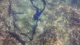 Freediving @ ​Akhziv National Park - Israel - Feb 2017