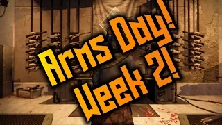 Destiny: Arms Day Gun Review! Week 2!