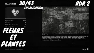 Fleurs et Plantes:30/43Ou se trouve le millefeuille Couchée(Localisation)Red Dead Redemption 2