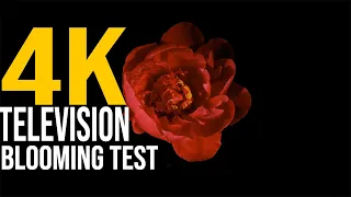 TV Blooming Test - See How Well Your Display Perform