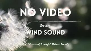 Relaxing Wind Sounds for Sleeping or Meditation 💨 Nature White Noise 3 Hours - No Video