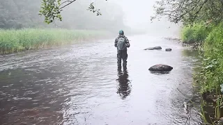 Разведка новой реки. В поисках голавля. Вспоминаем Ультралайт.