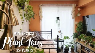 Winter 2023 Plant Tour | Over 35 Plants in a Small Living Area