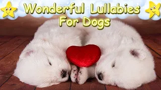 Super Relaxing Sleep Music For Dogs And Puppies ♫ Relax Your Dog Effectively Within 5 Minutes