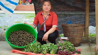 Harvest agricultural products (field snails)Pick vegetables in the garden Farm to sell in the market