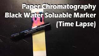 Paper Chromatography (Time Lapse) Sharpie Poster Black Marker