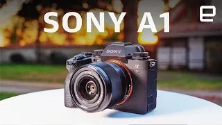 Sony A1 review: The Alpha of mirrorless cameras