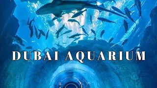 Exploring DUBAI AQUARIUM & UNDERWATER ZOO 🐟🐠🐋 | Inside Dubai Mall Aquarium