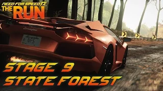 Need For Speed: The Run - Stage 9 - State Forest (PC)