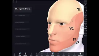 7 02 CN V) Trigeminal Nerve