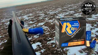 РАЗБОРКА и ОБЗОР патронов RIO Royal Pheasant 00. Патроны, которые я использую для охоты на зайца.