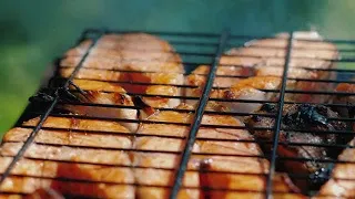 Grilling Salmon On The Grill Stock Video