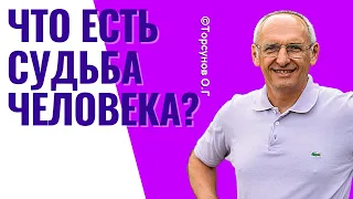 Что есть Судьба Человека? Торсунов лекции