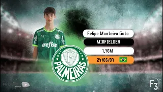 Felipe Goto - Meia/Midfielder - 2024