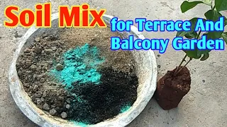 Best Container Soil Mix For Terrace n Balcony garden / Easy Method Of Repotting Jasmine flower Plant