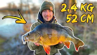 Fishing The RIVER of GIANTS!! (NEW PB - 2,40 kg 52 cm) | Team Galant