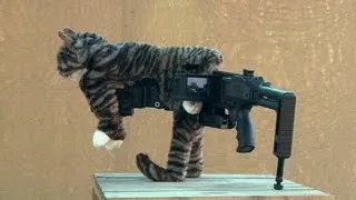 Pussy Pistol - Future Weapons