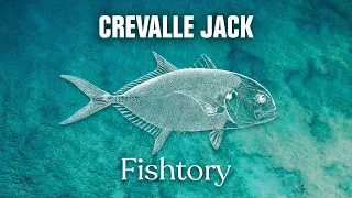 Catching Crevalle Jack: Everything You Need To Know | Fishtory